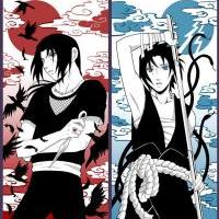 Sasuke and Itachi, The Traitor and The Hero 